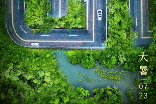 大暑安康 | 金年会绿色算力为您稳定护航